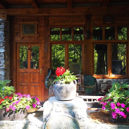 Apartments Dm Mokra Gora Dış mekan fotoğraf