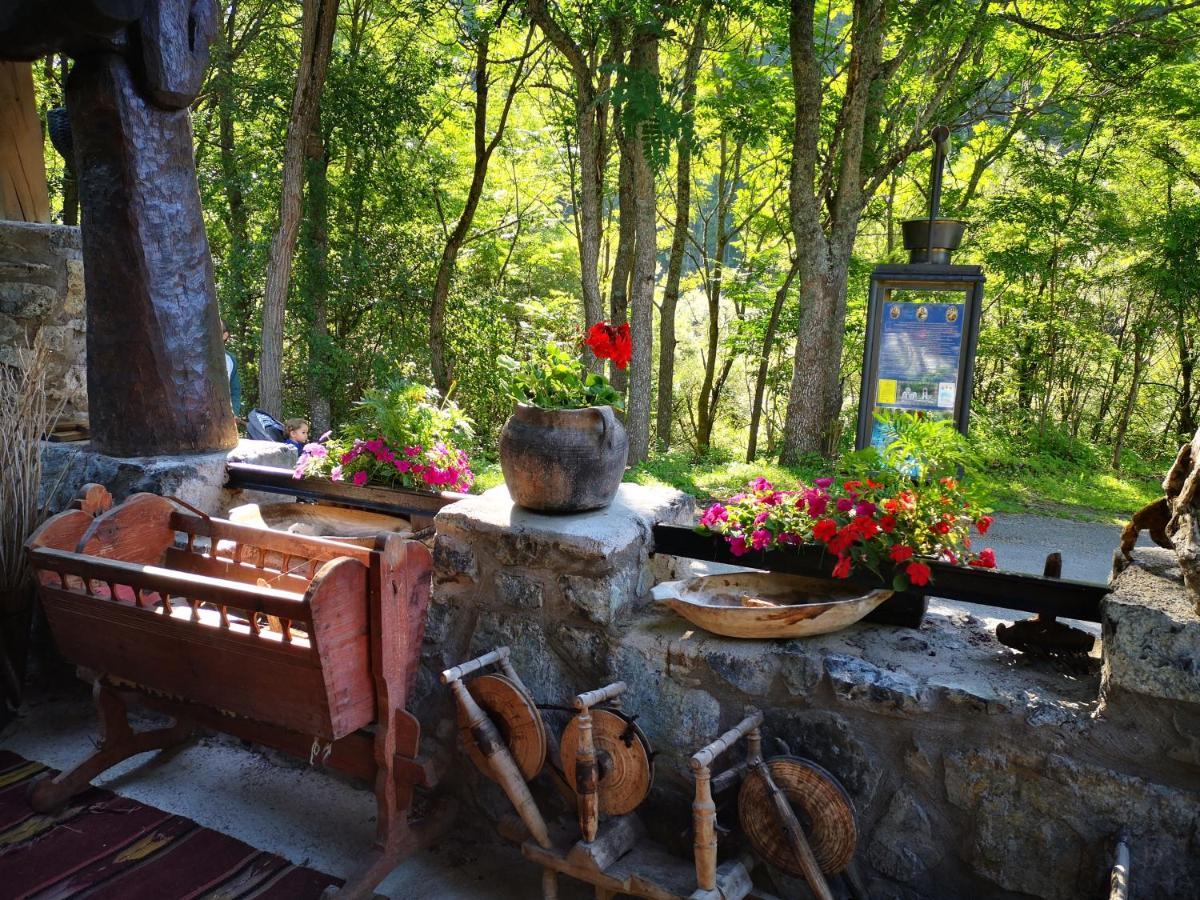 Apartments Dm Mokra Gora Dış mekan fotoğraf
