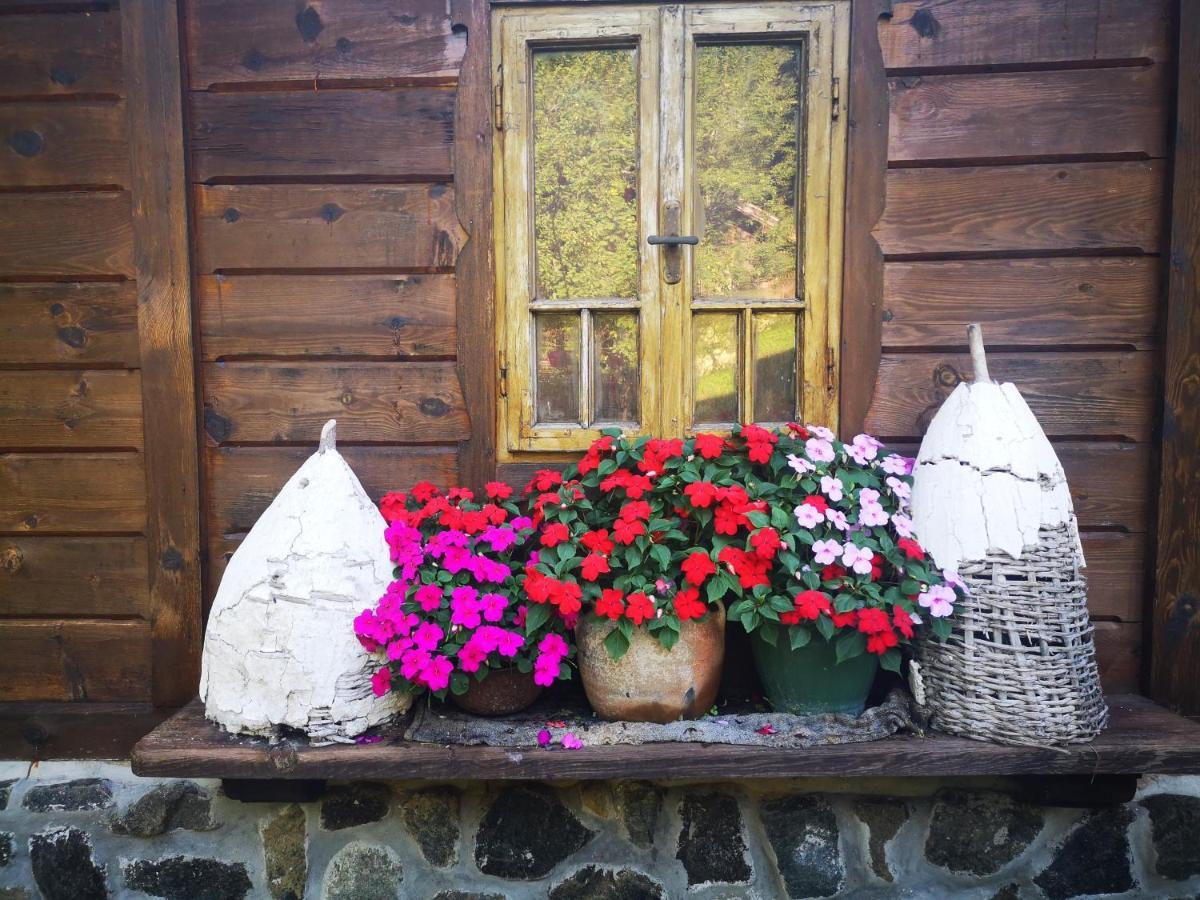 Apartments Dm Mokra Gora Dış mekan fotoğraf