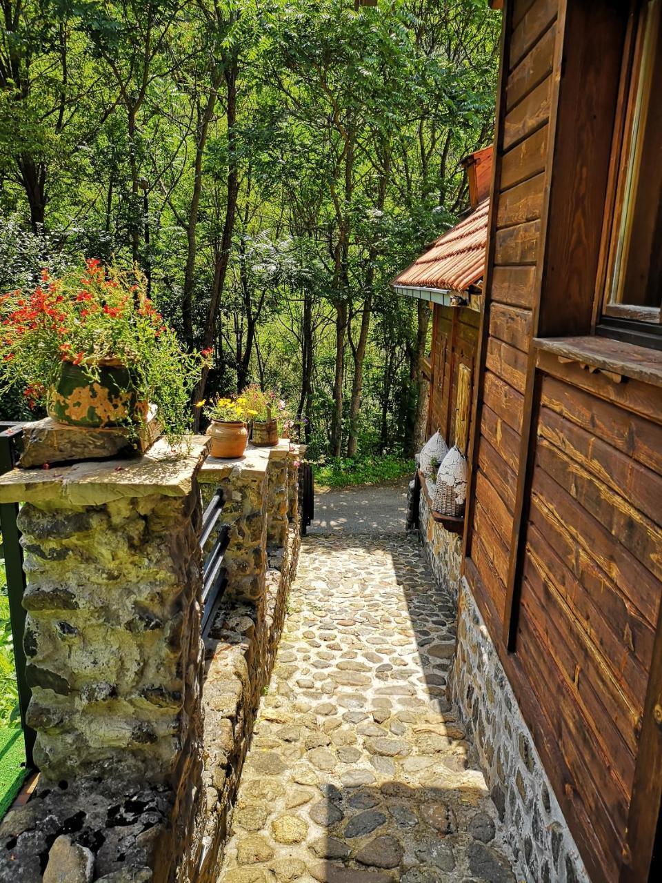 Apartments Dm Mokra Gora Dış mekan fotoğraf