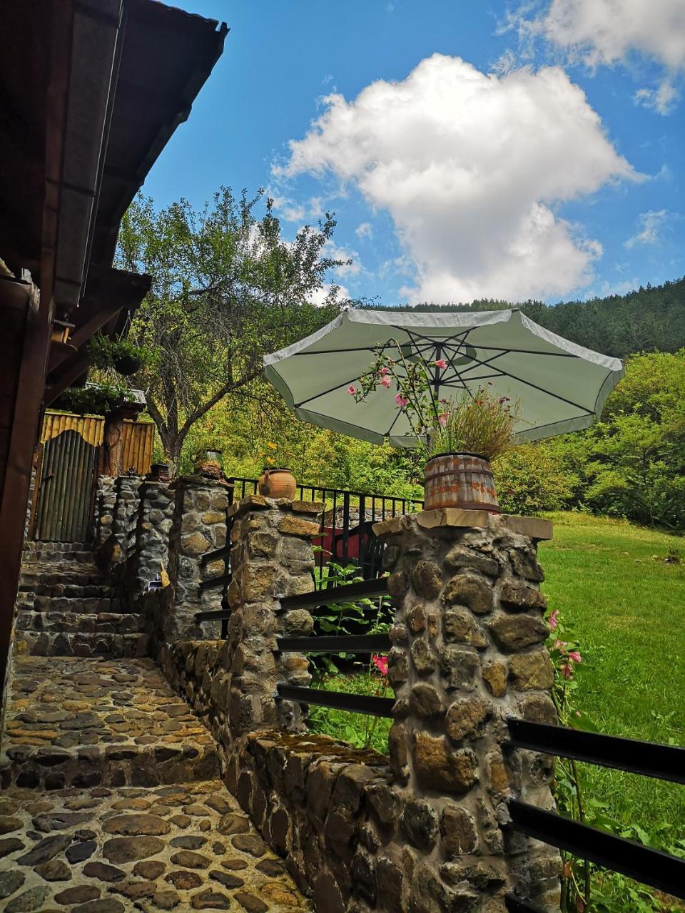 Apartments Dm Mokra Gora Dış mekan fotoğraf